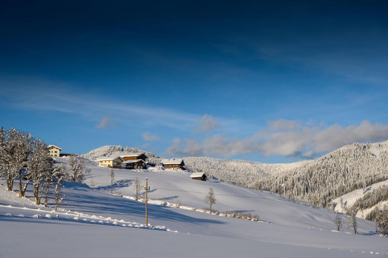 Paerchenbauernhof Horner Flachau Exterior photo